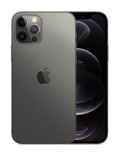 iPhone 12 Pro Max Graphit